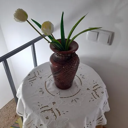 Casas Do Arrabalde Σπίτι διακοπών Amarante