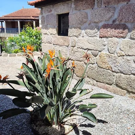 Casas Do Arrabalde أمارانتي