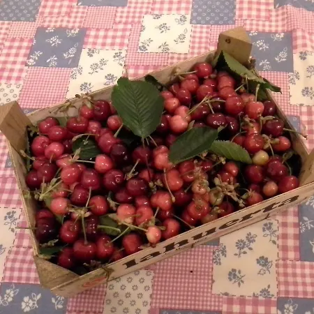 Casas Do Arrabalde بيت للعطل أمارانتي