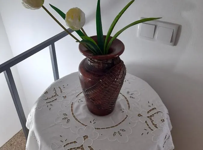 Casas Do Arrabalde 度假居 阿马兰特