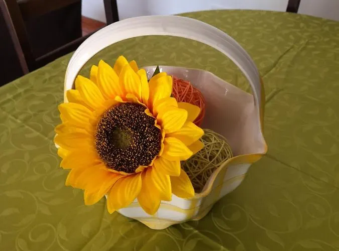 Casa de Férias Casas Do Arrabalde Amarante