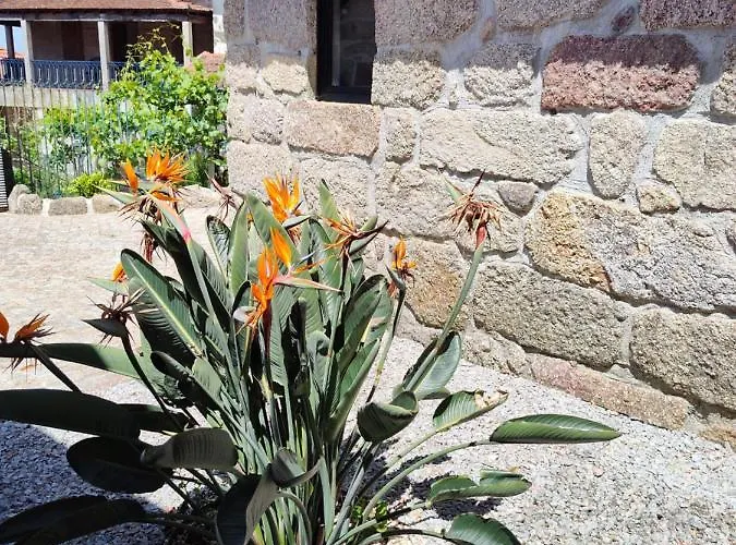 Casas Do Arrabalde 阿马兰特