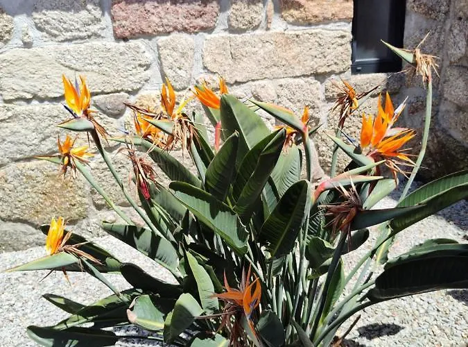 Casas Do Arrabalde 阿马兰特