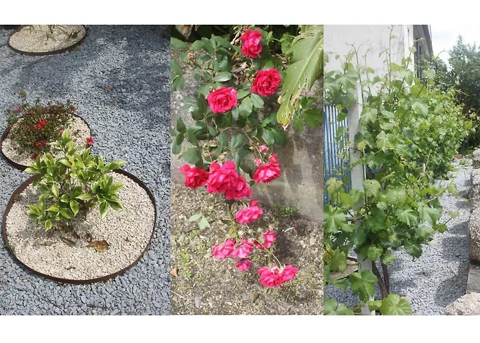 Casas Do Arrabalde 阿马兰特