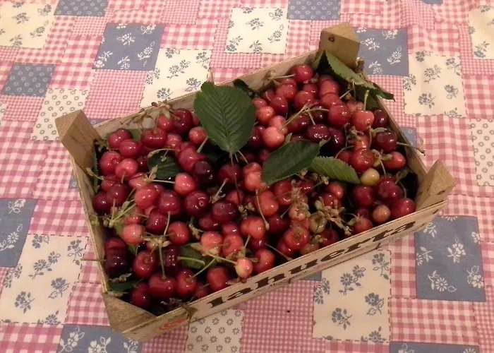 Casas Do Arrabalde Semesterbostad Amarante