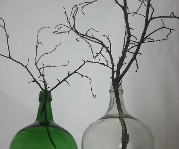 度假居 Casas Do Arrabalde